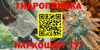 метадон Рязань