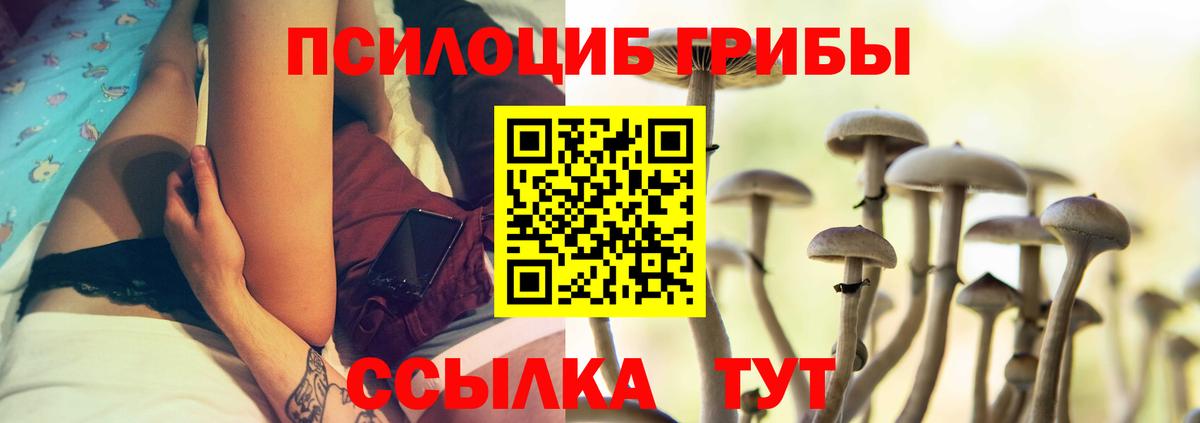 Галлюциногенные грибы Magic Shrooms Истра